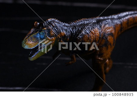 獰猛な肉食恐竜のティラノザウルス 100848935