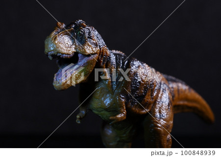 獰猛な肉食恐竜のティラノザウルス 獰猛な肉食恐竜のティラノザウルス 100848939