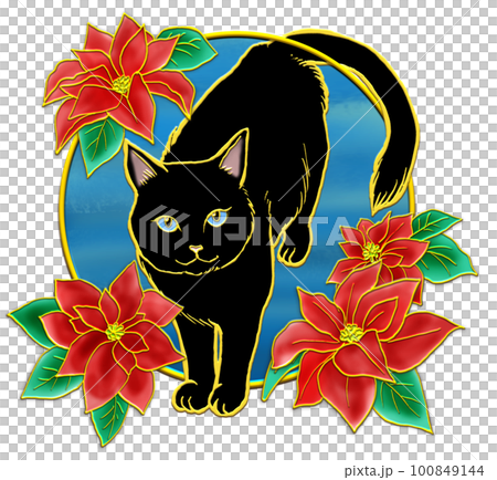 Poinsettia and cat _ black cat _ background sky blue Poinsettia and cat _ black cat _ background sky blue 100849144