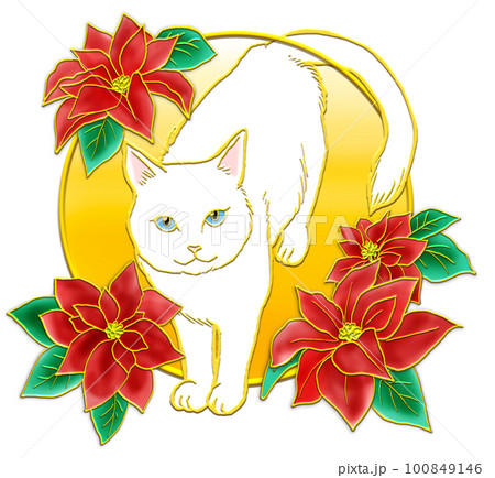 ポインセチアと猫_白猫_背景金色 ポインセチアと猫_白猫_背景金色 100849146