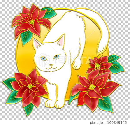 ポインセチアと猫_白猫_背景金色 ポインセチアと猫_白猫_背景金色 100849146