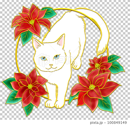 ポインセチアと猫_白猫_背景透過のイラスト素材 [100849149] - PIXTA