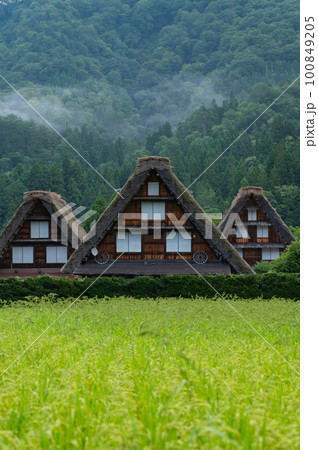 霧のかかった白川郷 100849205