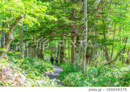 【絶景】初夏の上高地【長野県】 【絶景】初夏の上高地【長野県】 100849378