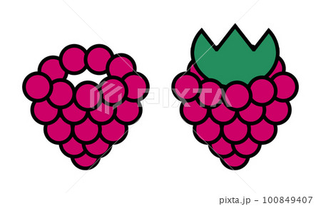 Raspberry, vector. Pink raspberry on a white background. 100849407