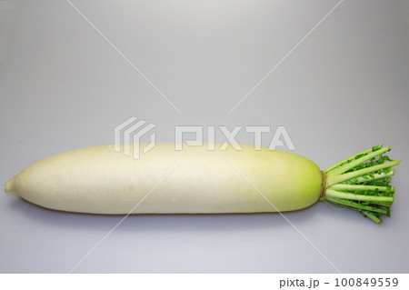直売所で買った新鮮野菜の大根(だいこん) 直売所で買った新鮮野菜の大根(だいこん) 100849559