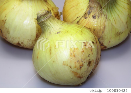 直売所で買った新鮮野菜の新玉ねぎ 直売所で買った新鮮野菜の新玉ねぎ 100850425