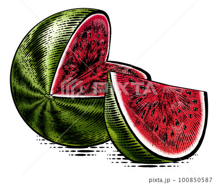 Watermelon Vintage Woodcut Engraved Style Drawing 100850587