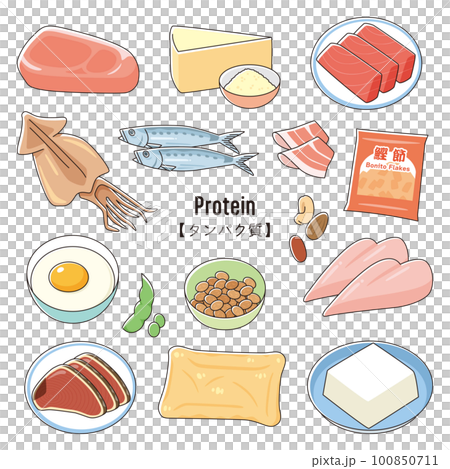 Protein food illustration set line art - Stock Illustration [72197358] -  PIXTA