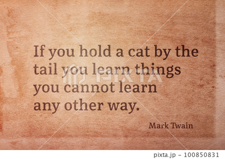 cat by tail Twain 100850831
