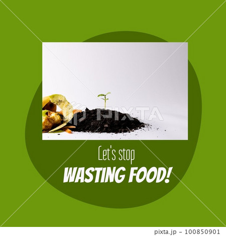 Composite of let's stop wasting food text and sapling in dirt with vegetable peels, copy space 100850901