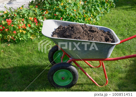Wheelbarrow full of humus and compost on yard. 100851451