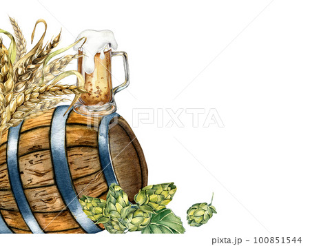 Wooden beer barrel and hop vine, wheat ear watercolor illustration isolated on white. Wooden beer barrel and hop vine, wheat ear watercolor illustration isolated on white. 100851544
