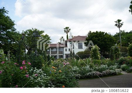 横浜の港の見える丘公園の春 100851622