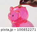 ブタの貯金箱にコインを入れる 100852271