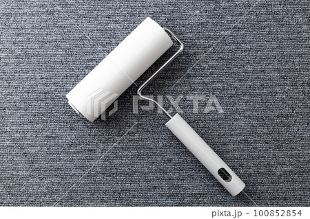 カーペットの掃除 100852854