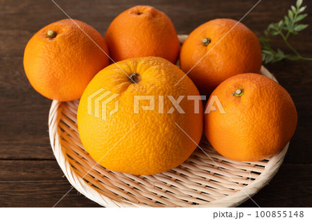笊に盛った伊予柑と八朔 100855148