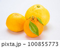 いろいろな柑橘 100855773