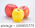 いろいろなリンゴ 100855775