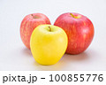 いろいろなりんご 100855776