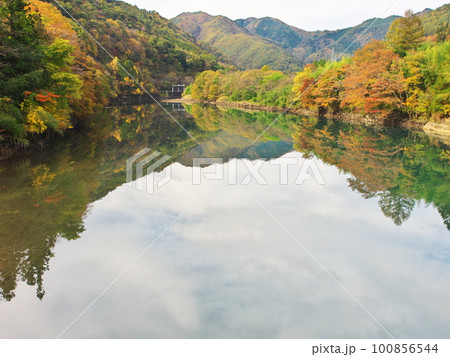 木曽町福島　水鏡の王滝川に映える紅葉の木々と山々 100856544