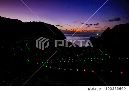 棚田のライトアップ、美しい夜景 100856669