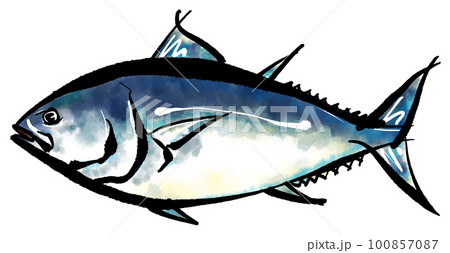マグロの手書きイラスト(筆書き水彩墨絵風) マグロの手書きイラスト(筆書き水彩墨絵風) 100857087
