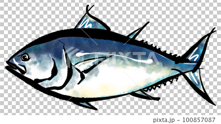 マグロの手書きイラスト(筆書き水彩墨絵風) マグロの手書きイラスト(筆書き水彩墨絵風) 100857087