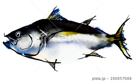 マグロの手書きイラスト（筆書き水彩墨絵風） 100857088