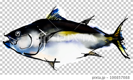 マグロの手書きイラスト（筆書き水彩墨絵風） 100857088