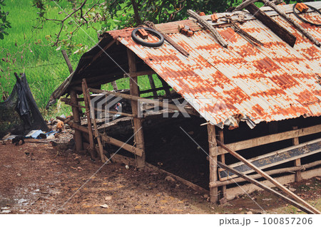 Old tin shed for the livestock at a farm in Kampot Cambodia showing the candid and authentic moment of rural life, cottagecore and slow living lifestyle 100857206