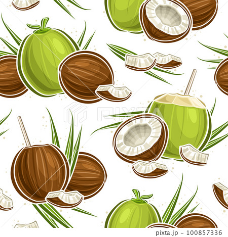 Vector Coconut Seamless Pattern 100857336