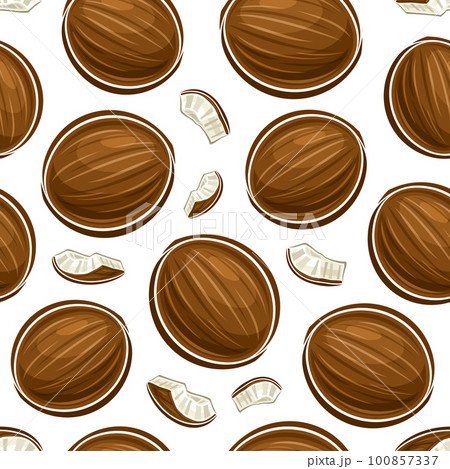 Vector Coconut Seamless Pattern Vector Coconut Seamless Pattern 100857337