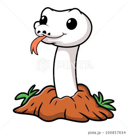 Cute white leucistic ball python snake cartoon out from hole 100857634