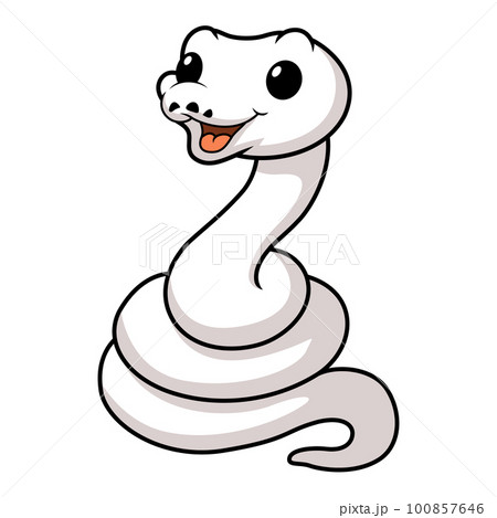 Cute white leucistic ball python snake cartoon 100857646