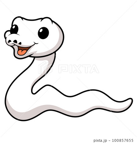 Cute white leucistic ball python snake cartoon 100857655