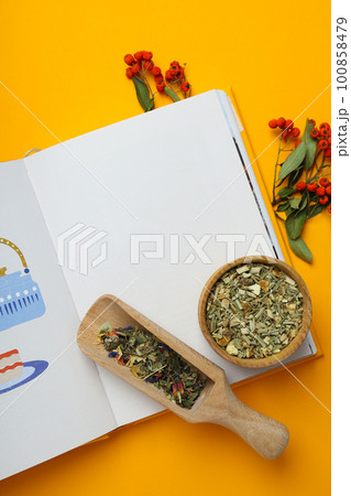 Concept of alternative medicine and alternative medicine books 100858479