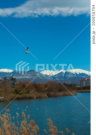 Sochi adler ornithological park with a pond and birds 100858704