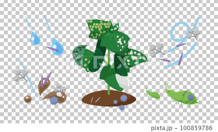 野菜の病気の感染経路のイラスト_きゅうり 100859786