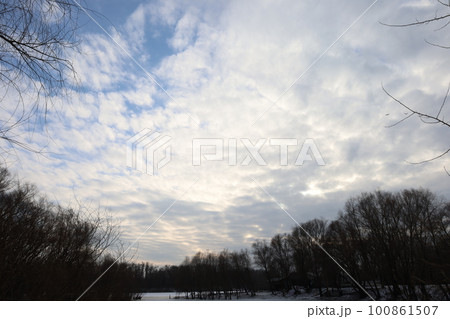 winter forest atmosphere, winter nature winter forest atmosphere, winter nature 100861507