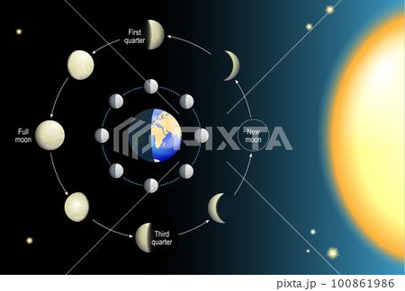 lunar phase. Moon cycle 100861986