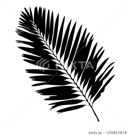 Palm Leaf Silhouette. Vector Illustration Palm Leaf Silhouette. Vector Illustration 100863828