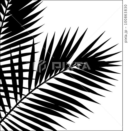 Palm Leaf Silhouette. Vector Illustration 100863830