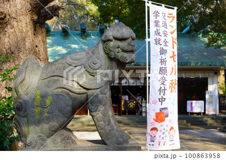 狛犬 駒込天祖神社 東京都文京区本駒込 狛犬 駒込天祖神社 東京都文京区本駒込 100863958