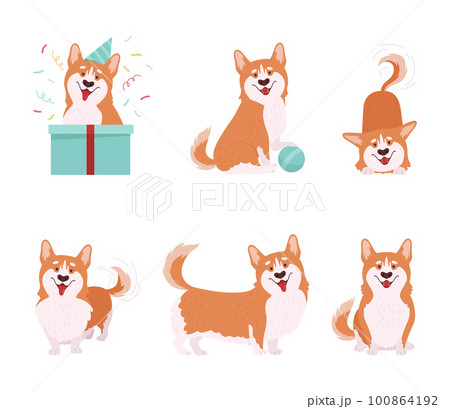 Welsh Corgi with Short Legs and Brown Coat in Different Pose Vector Set Welsh Corgi with Short Legs and Brown Coat in Different Pose Vector Set 100864192