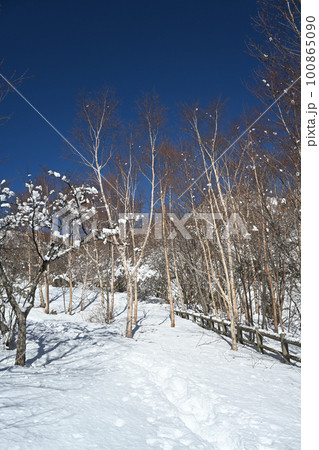 春の残雪期の栃木県 那須山 登山道の風景 春の残雪期の栃木県 那須山 登山道の風景 100865090