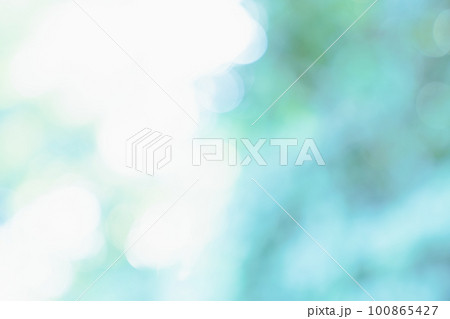 新緑、背景、緑、葉、自然、風景、ぼかし、植物、木漏れ日、新緑イメージ、背景合成用画像素材 100865427