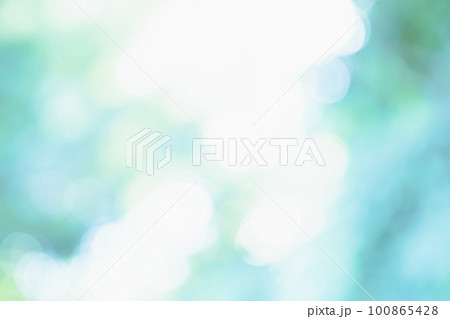 新緑、背景、緑、葉、自然、風景、ぼかし、植物、木漏れ日、新緑イメージ、背景合成用画像素材 100865428