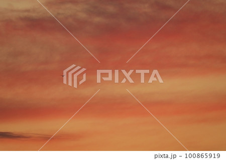 朝焼け空を飛ぶ鳥・春・230301am 100865919