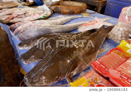 ラオスの首都ヴィエンチャンの市場 100866183
